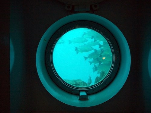 Underwater Window