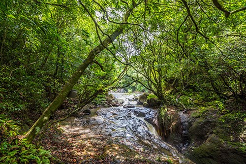 Darien National Park