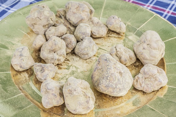 Alba White Truffles