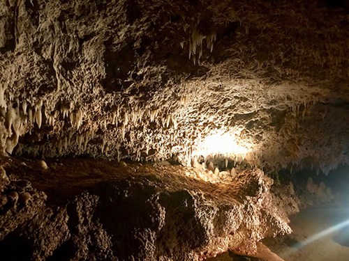 Harrison's Cave