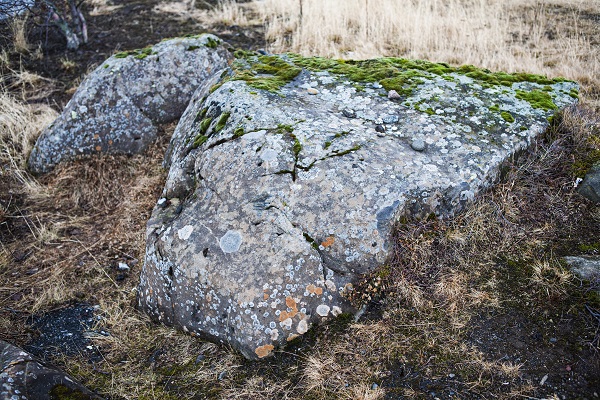 Hidden Folk Stone