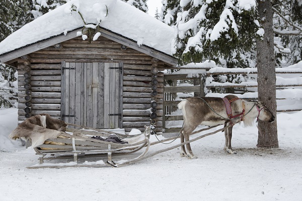 Reindeer and Sleigh