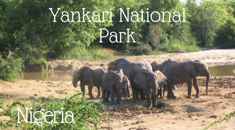 Nigeria Yankari National Park
