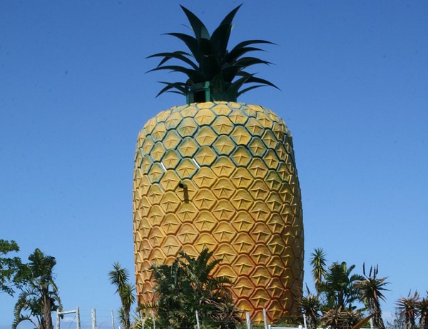 Bathurst Pineapple