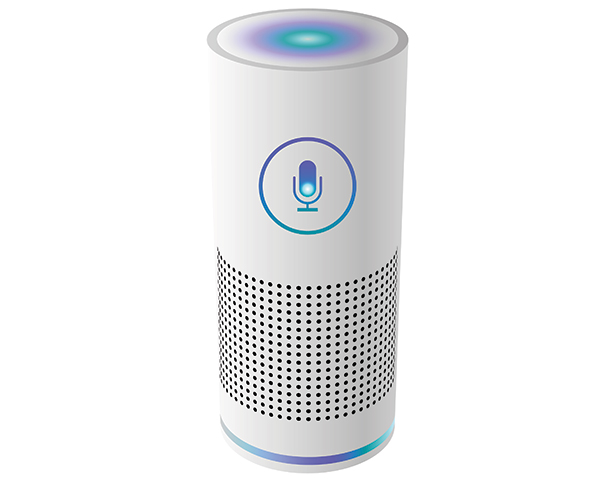 Voice Assistant