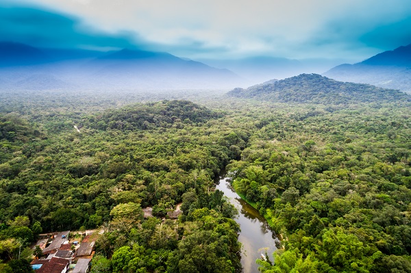 Peruvian Amazon