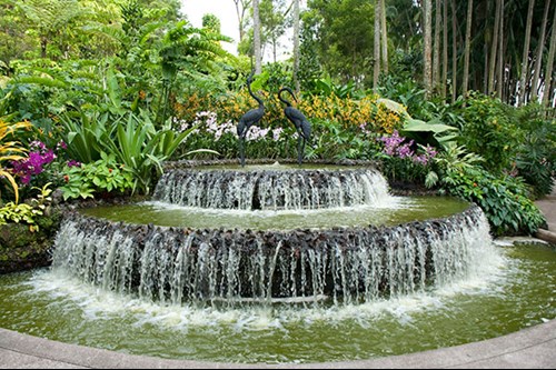 Orchid Garden