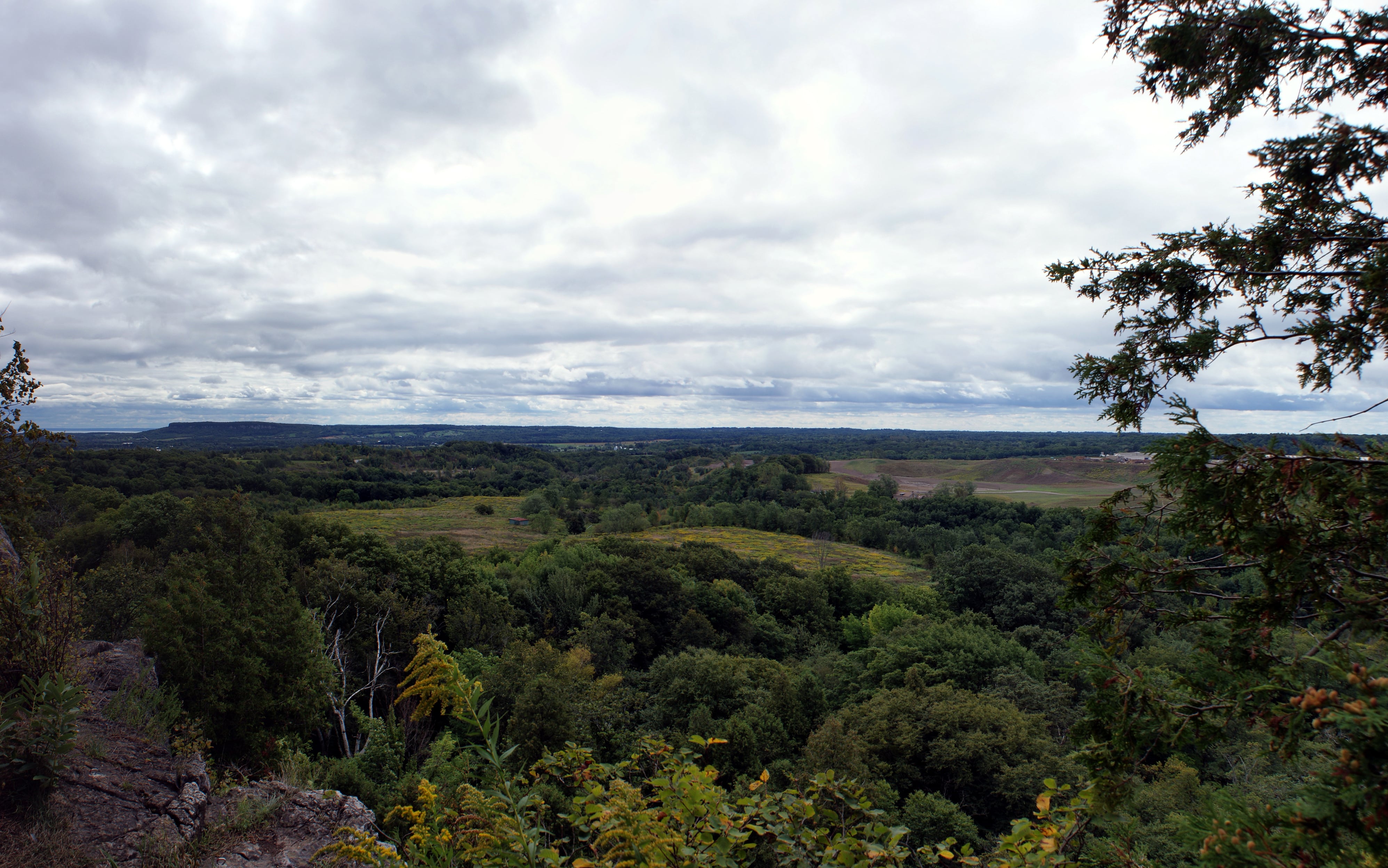 View from Rattlesnake Point