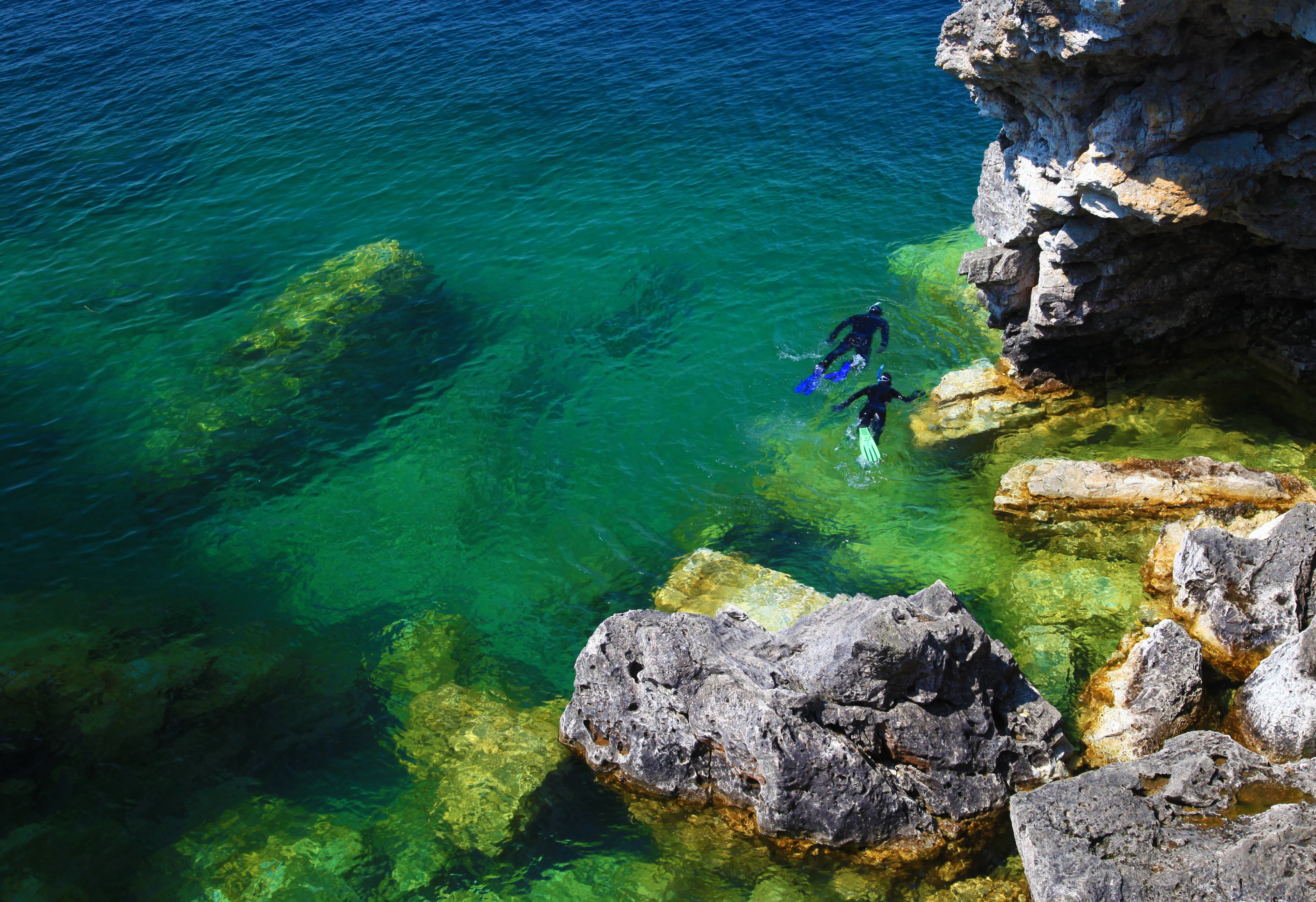 Snorkellers in water