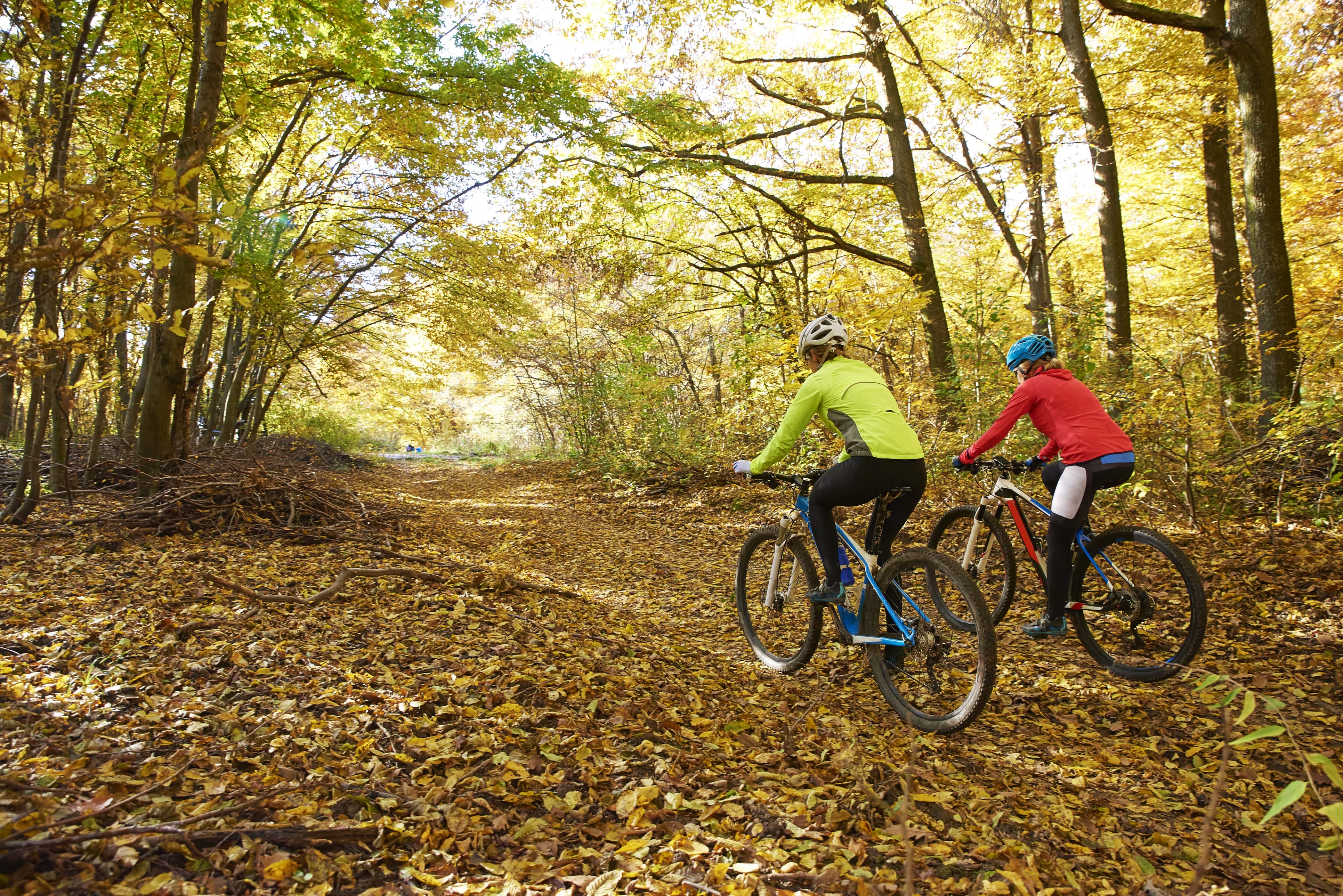 cycling tours ontario