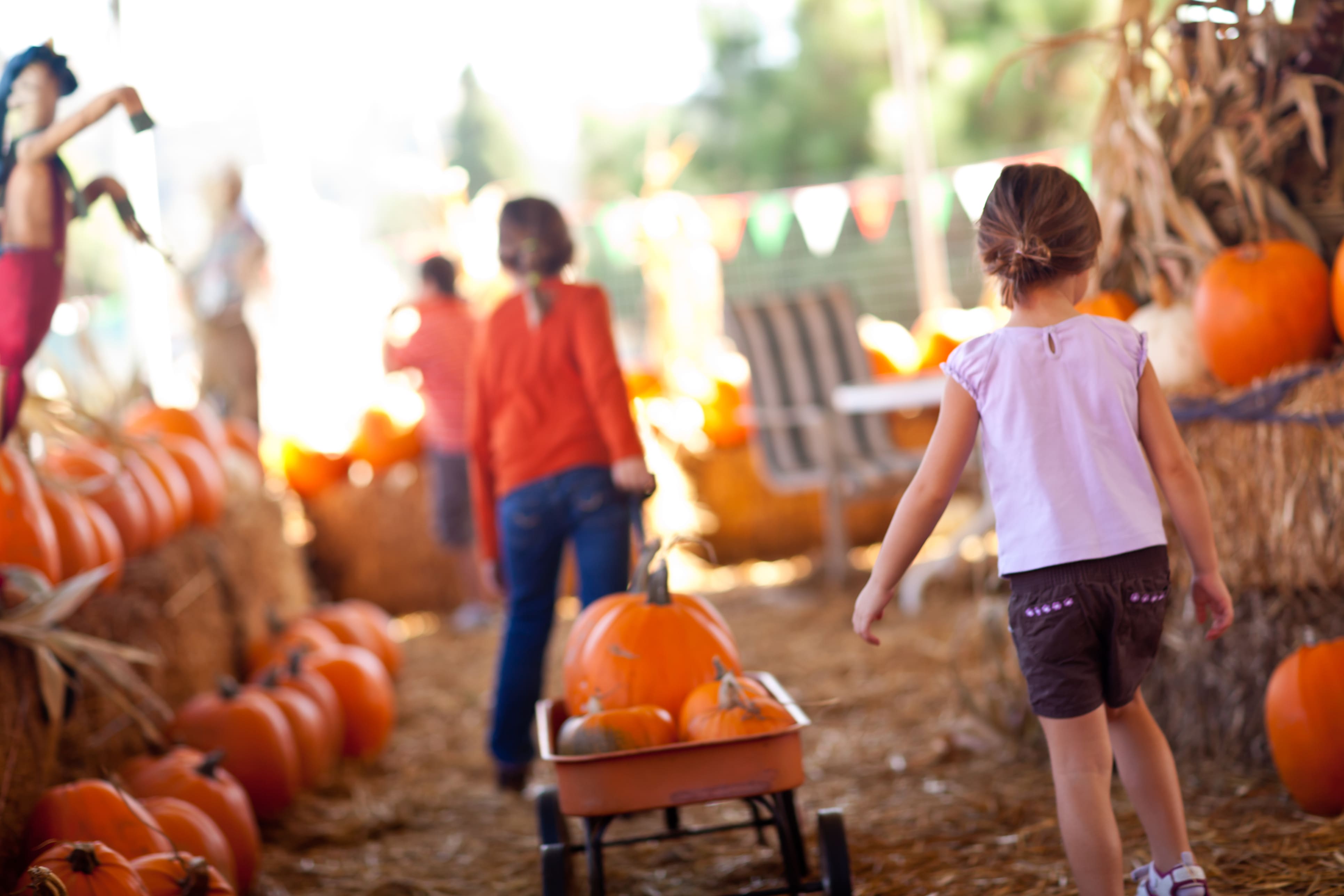 Children pulling wagon full of pumpkins