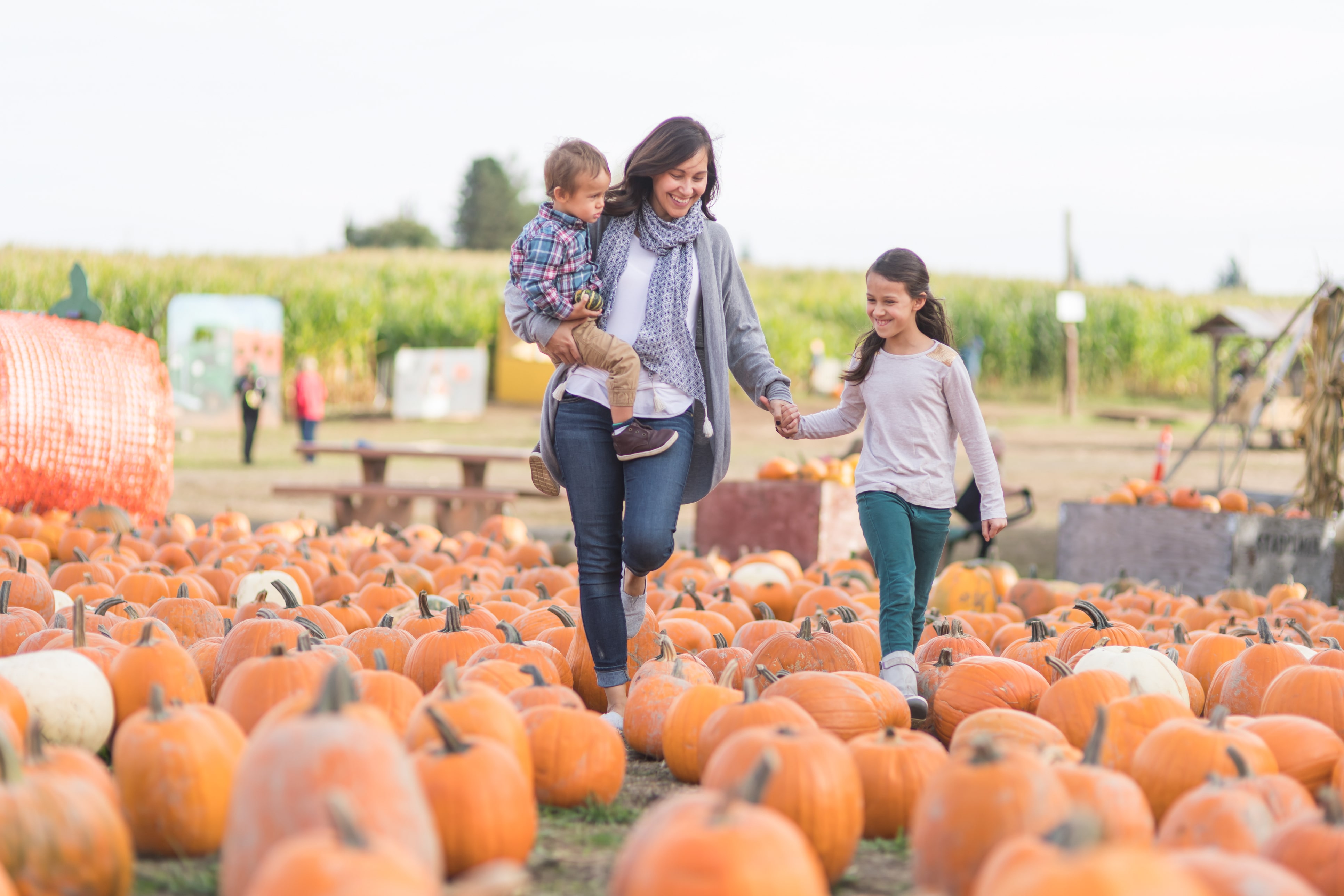 Mother and children walking through pumpkin patch