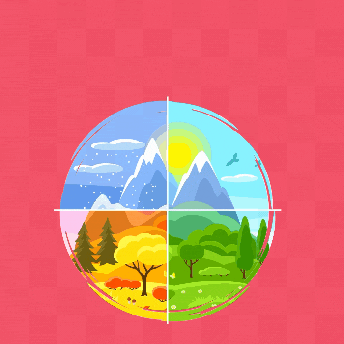 Why consume seasonal fruits and vegetables? Consentio