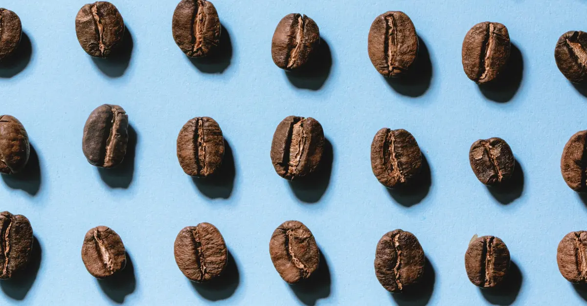 Oily Coffee Beans Understanding the Role of Oils in Coffee Flavor