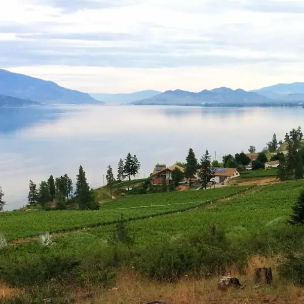 12 Best Coffee Shops in Kelowna You Need to Try!