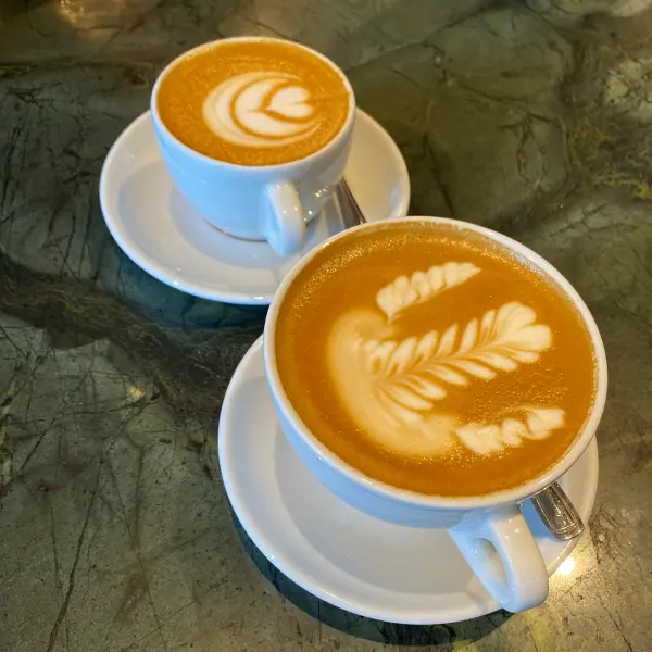 5 Best Coffee Beans for a Delicious Latte (2024)