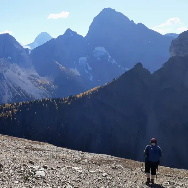 Power Up With These 10 Best EnergyPacked Coffees