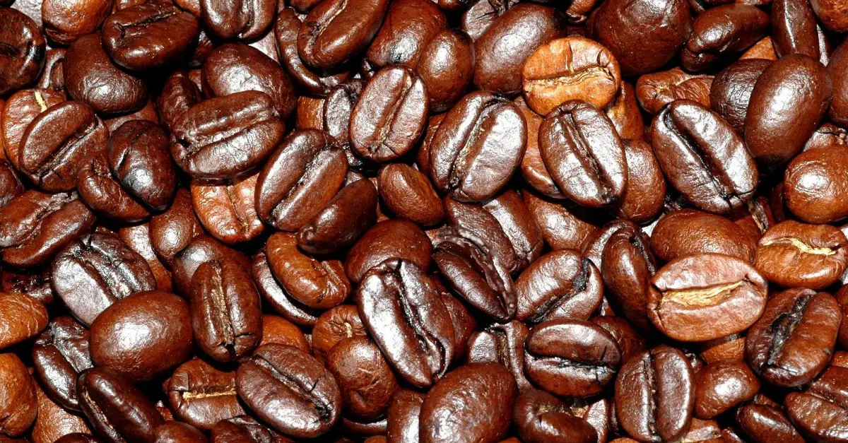 Oily Coffee Beans Understanding the Role of Oils in Coffee Flavor