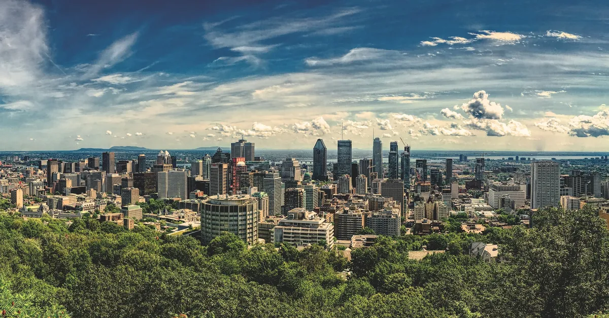 Best Coffee Roasters in Montreal (Trending & Ranked)