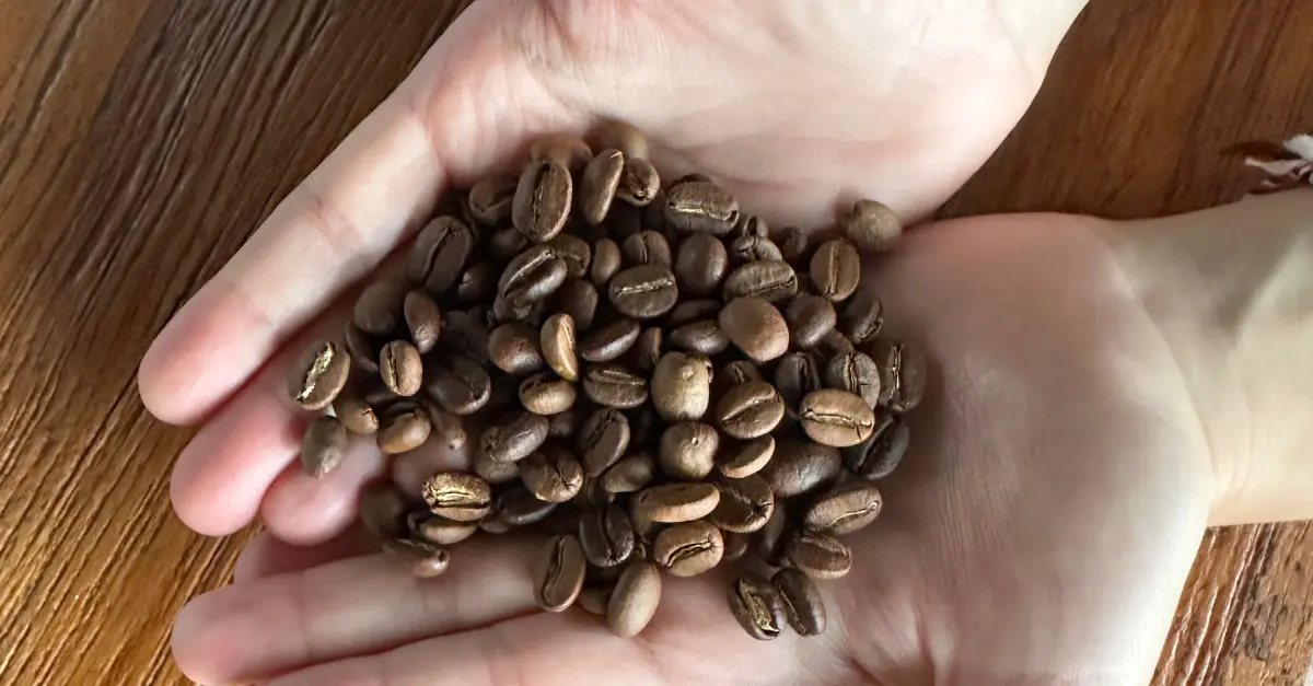 10 Best Single Origin Coffee Beans Taste a Terroir's Essence