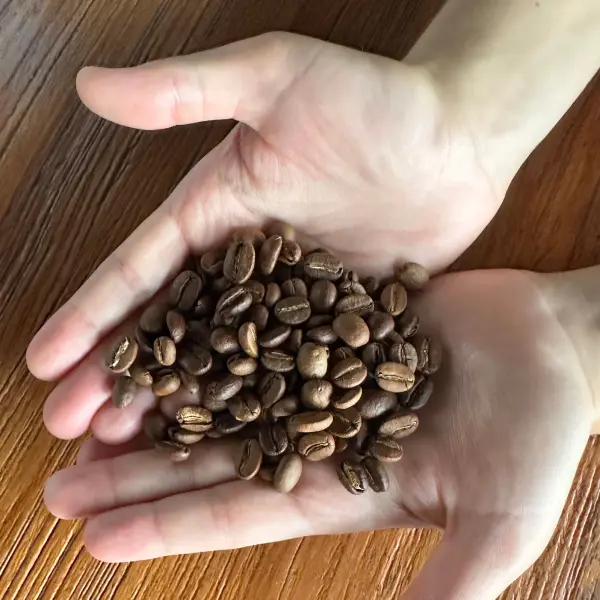 10 Best Single Origin Coffee Beans Taste a Terroir's Essence