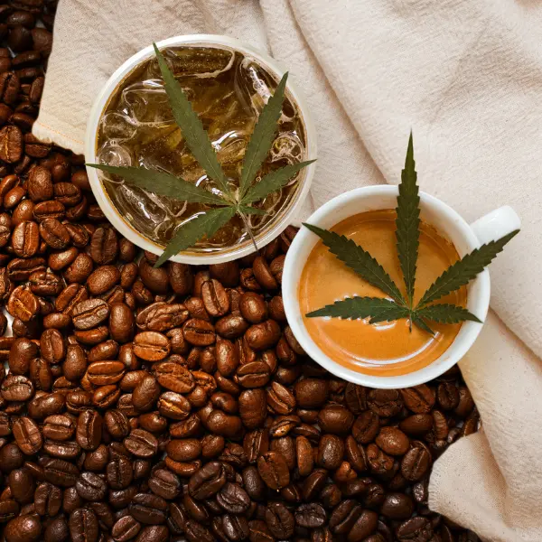 JitterFree Focus 5 Premium CBD Oils for Your Coffee