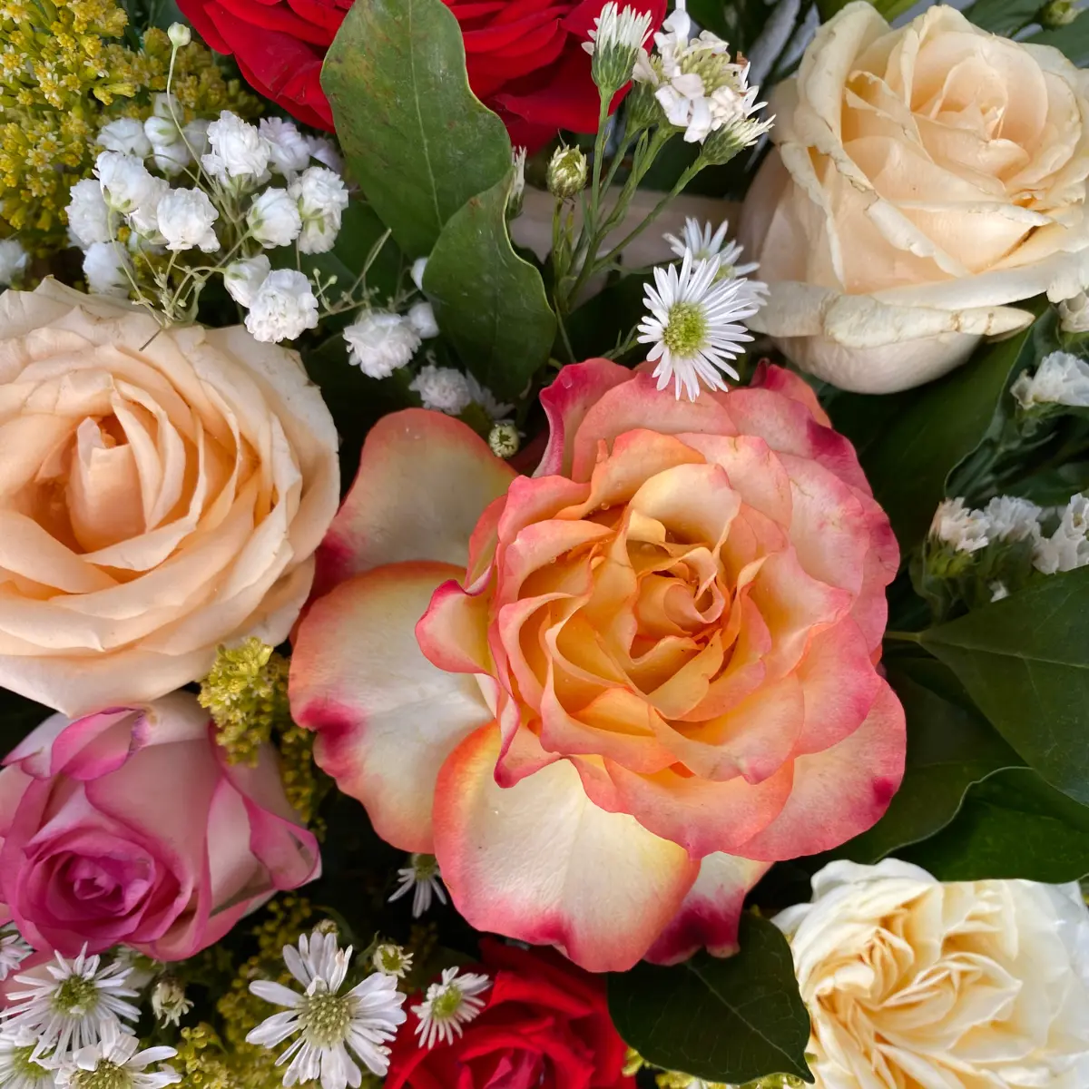 10 Best Flower Coffee Table Books Blooming Bliss