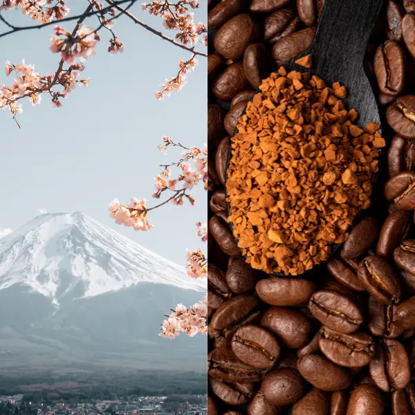 7 Best Japanese Instant Coffee A Fusion of Convenience and Quality