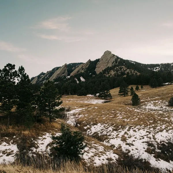 Colorado Charm 10 MustVisit Coffee Shops in Boulder