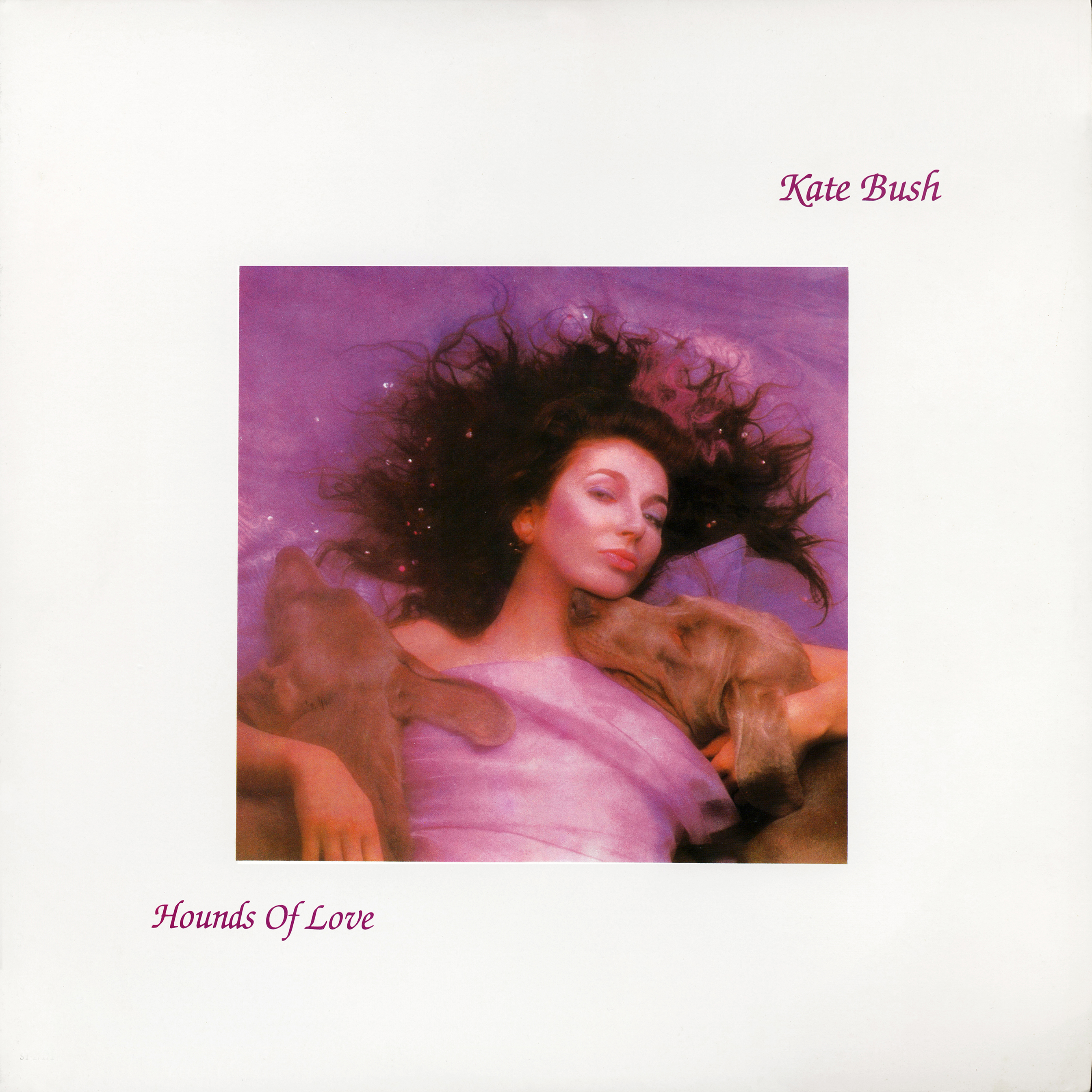 Hounds of Love