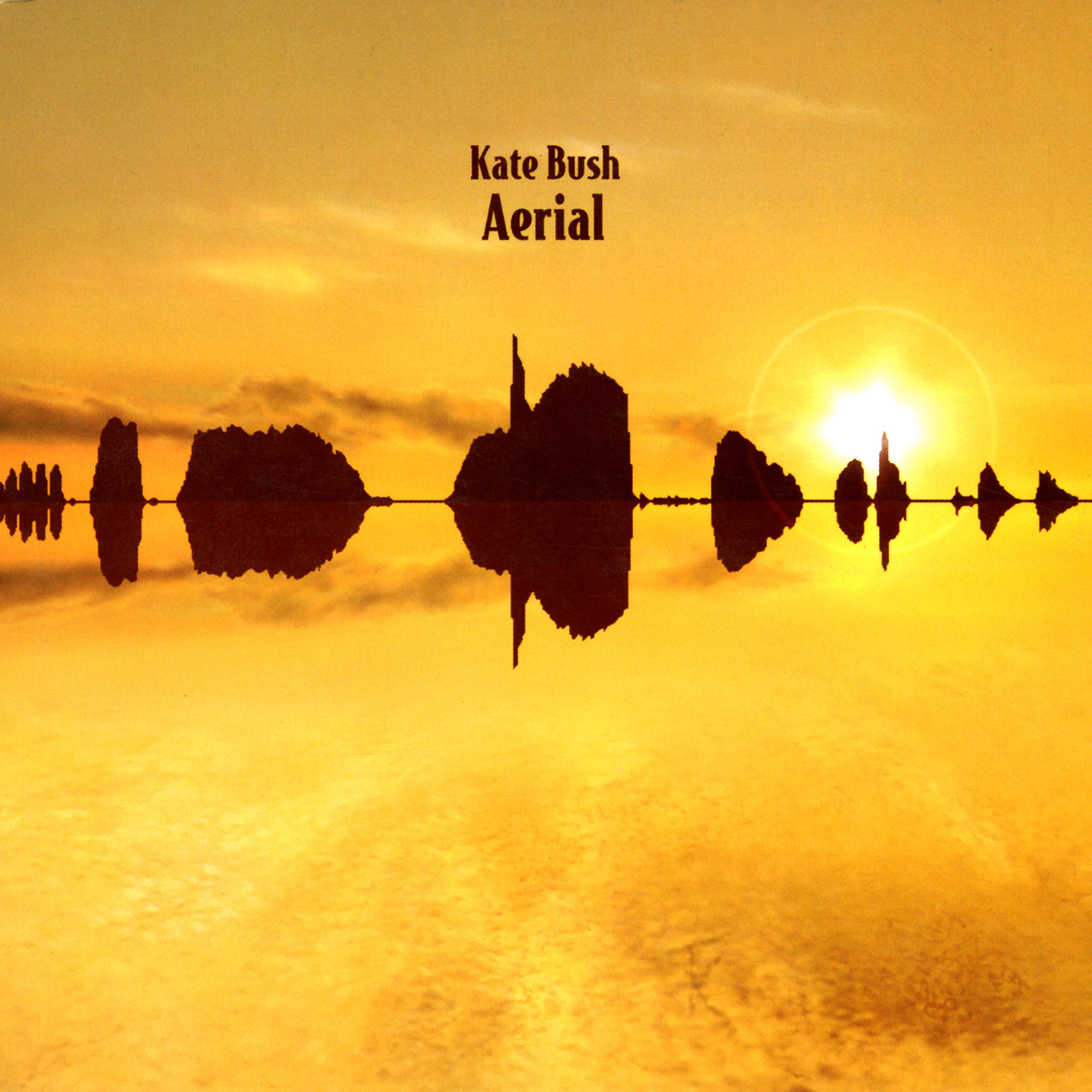 Aerial