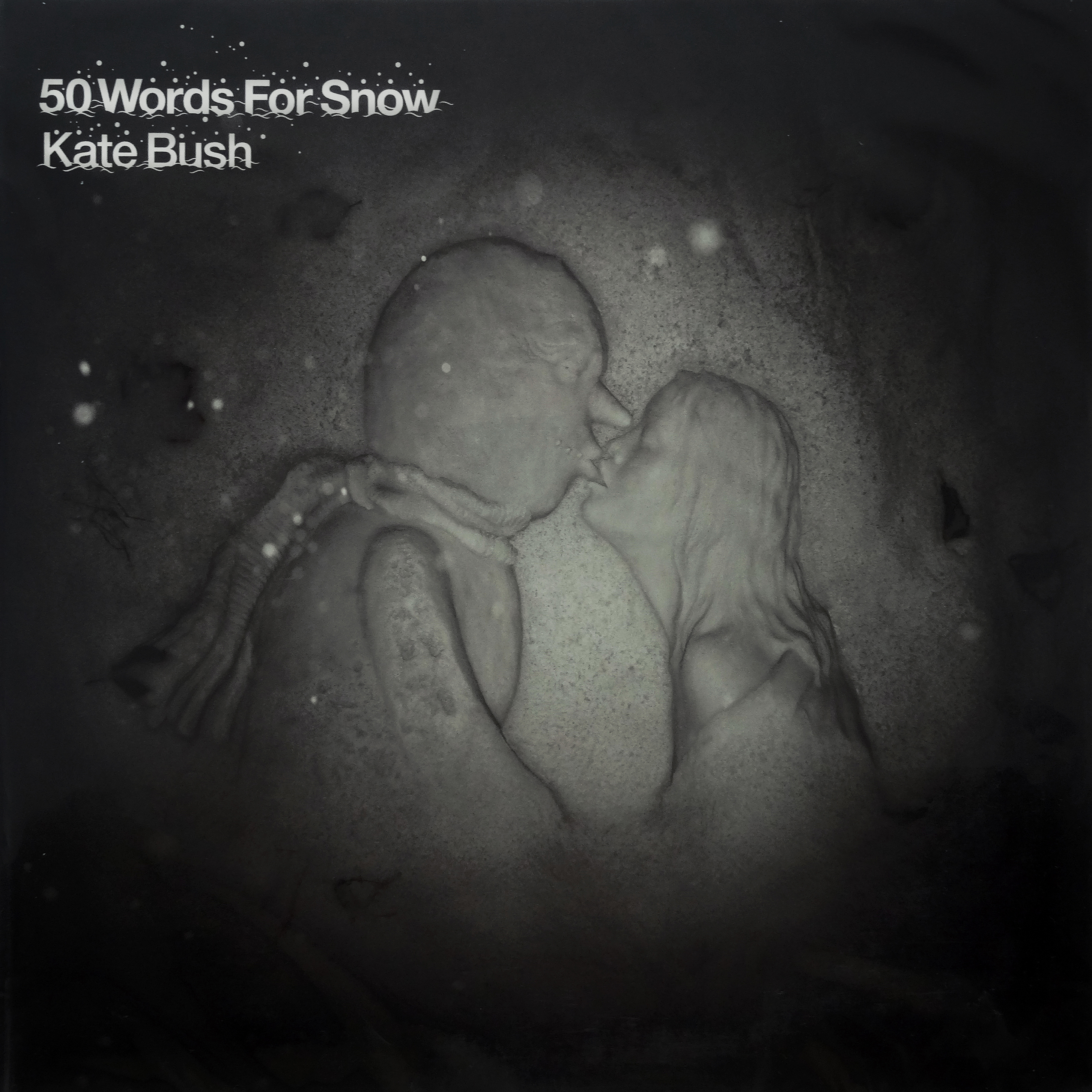 50 Words For Snow