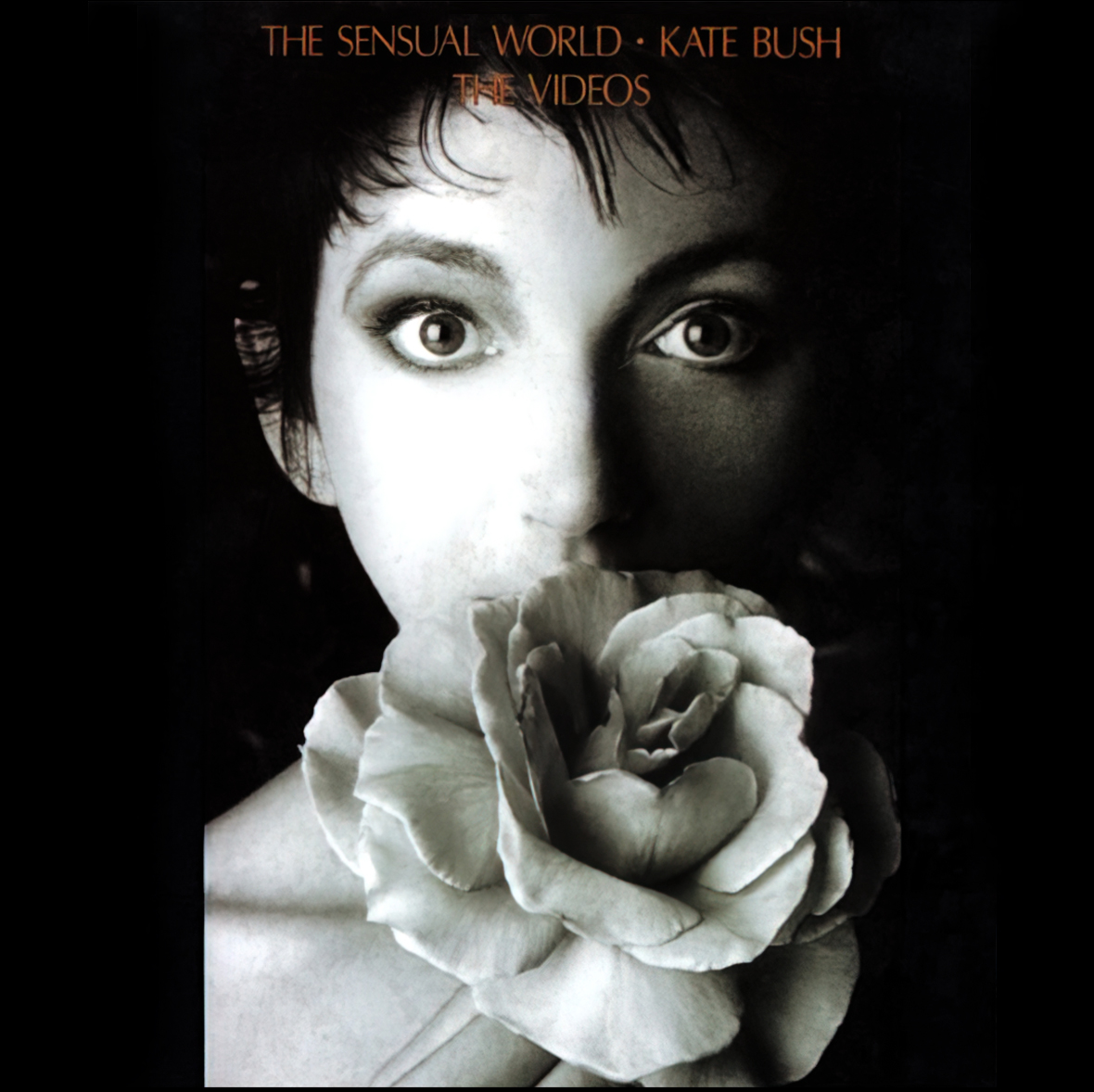 The Sensual World - The Video