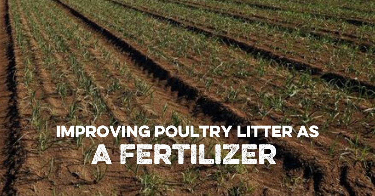 Improving Poultry Litter as a Fertilizer. And…?
