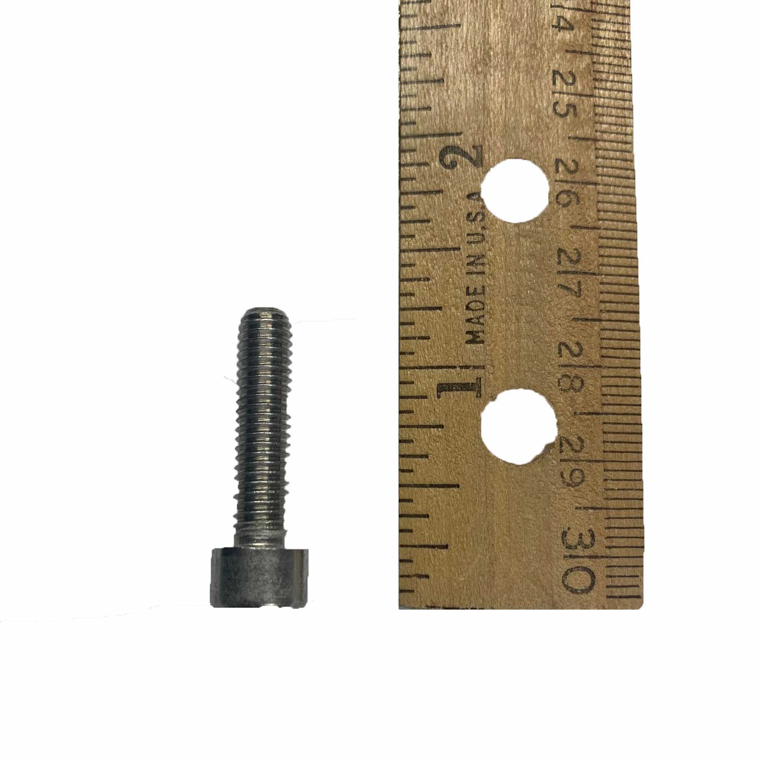 Bolts for Motor for Rotation (6x25mm) | Wintex Agro, USA