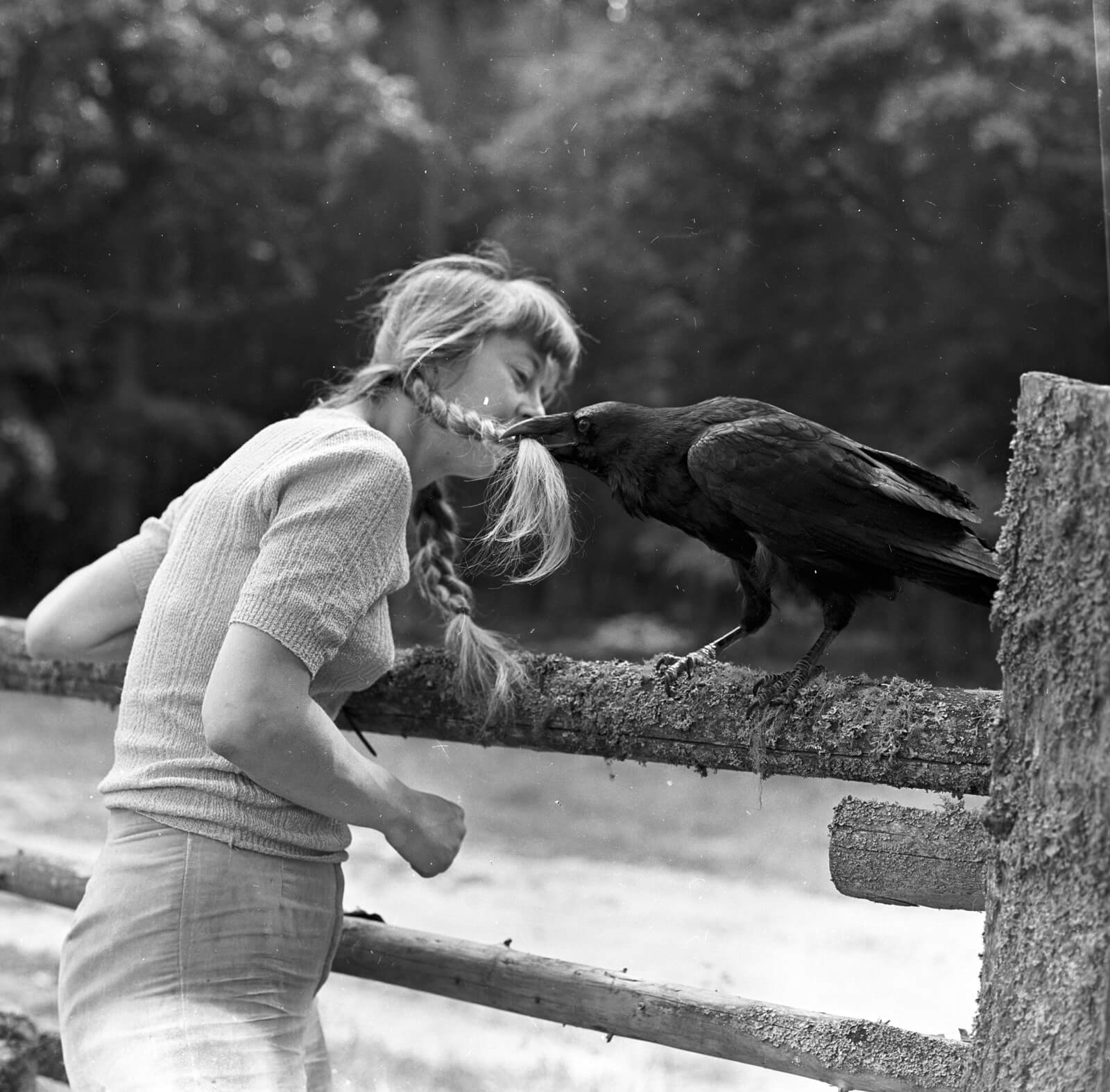 „Simona Kossak w obiektywie Lecha Wilczka i Macieja Musiała”