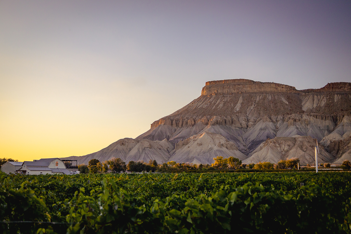 Colorado Wine Carboy Winery