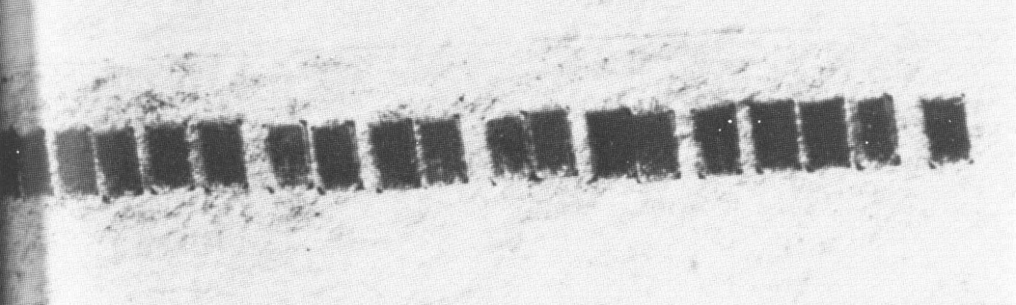 Microdot Technology and Compression Reading Realm Blog