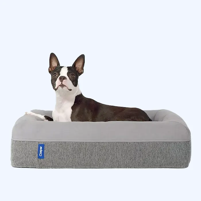 6 Best Gifts For Dog Owners The Quality Edit