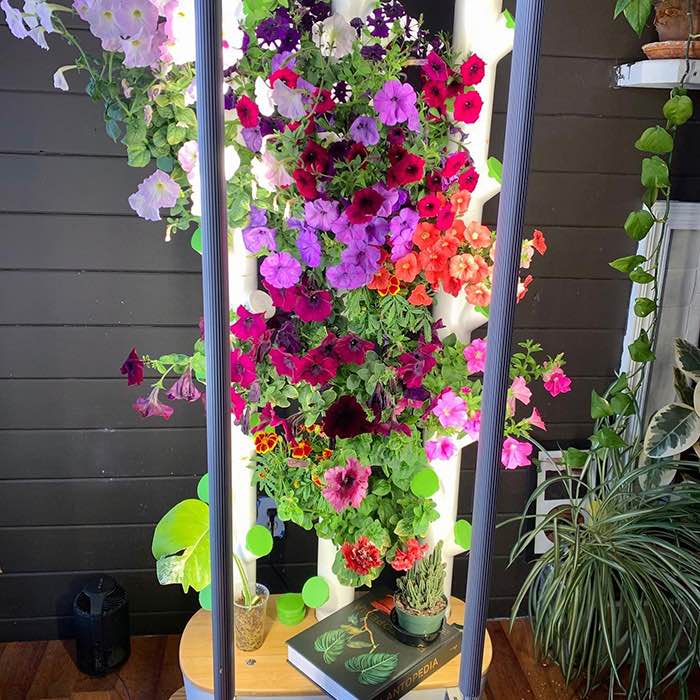 Gardyn Review Why The Gardyn 3.0 Is The Ultimate Indoor Garden For