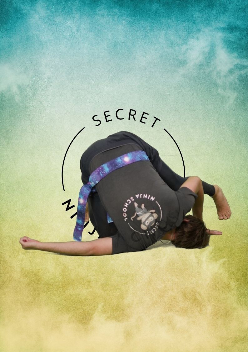 Secret Ninja School