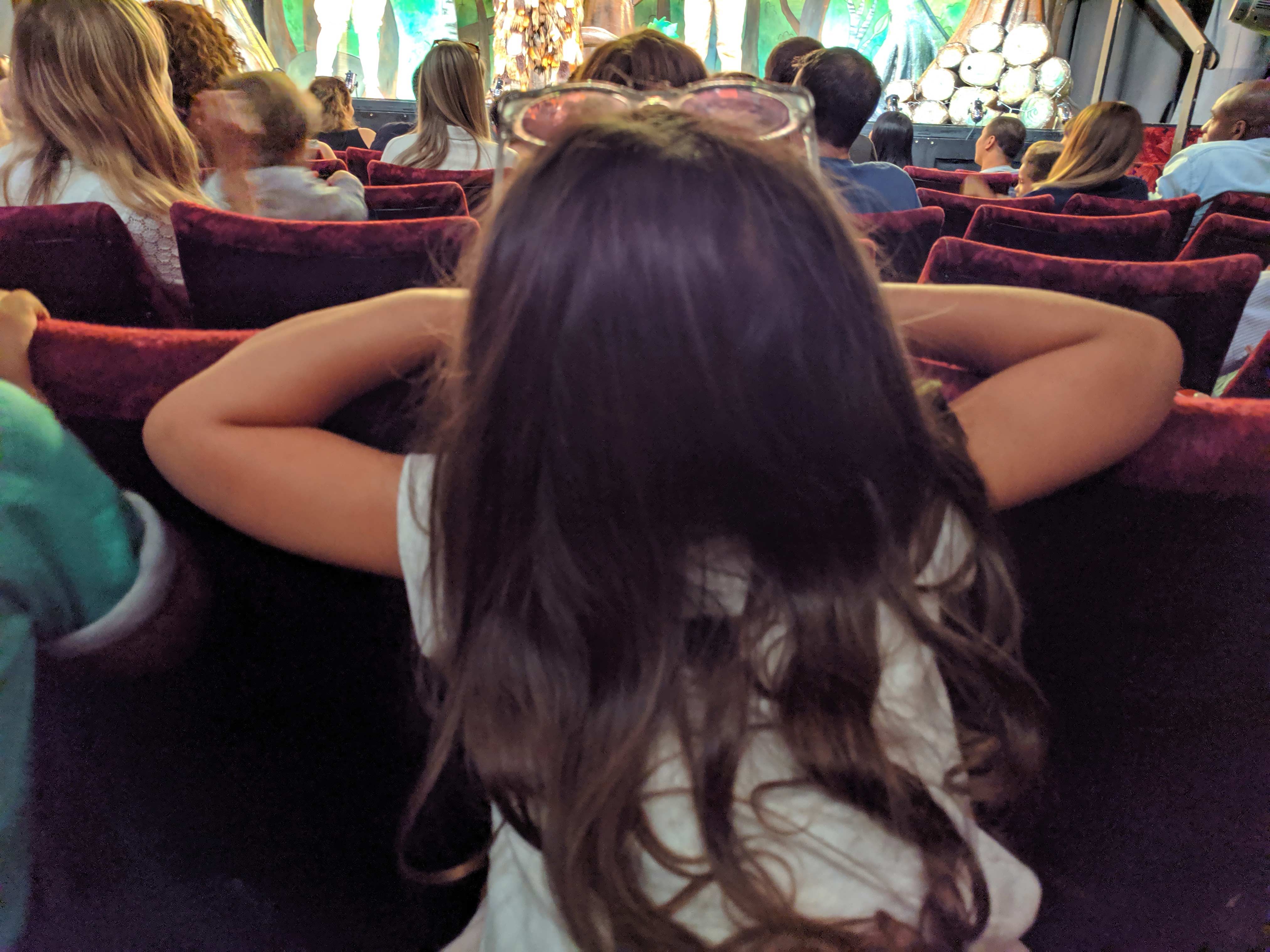 Watching The Gruffalo at the Lyric Theatre