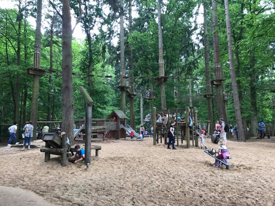 the best treetop adventure course in the woods in Norfolk