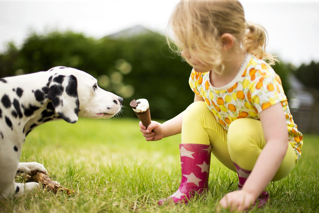 young girl sharing ice-cream with her dog