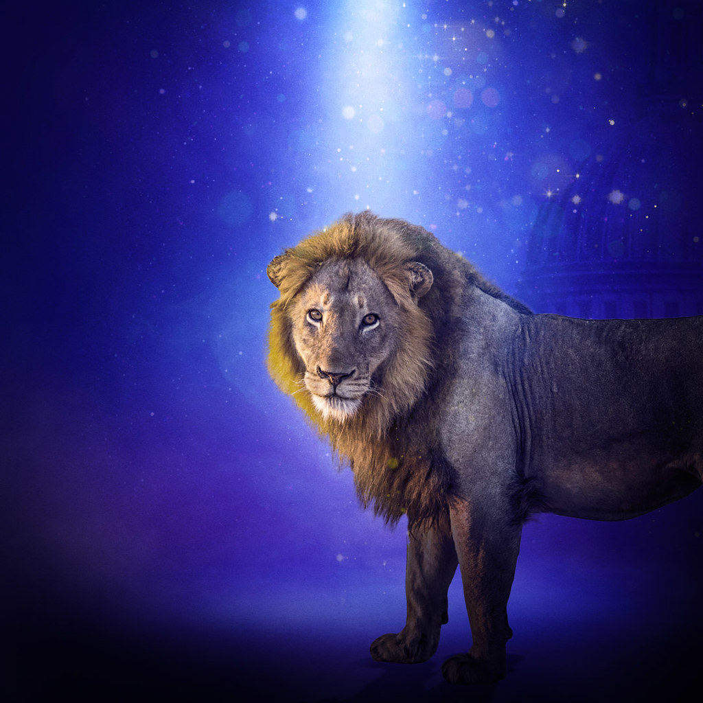 Visit Museum of London's Beasts of London