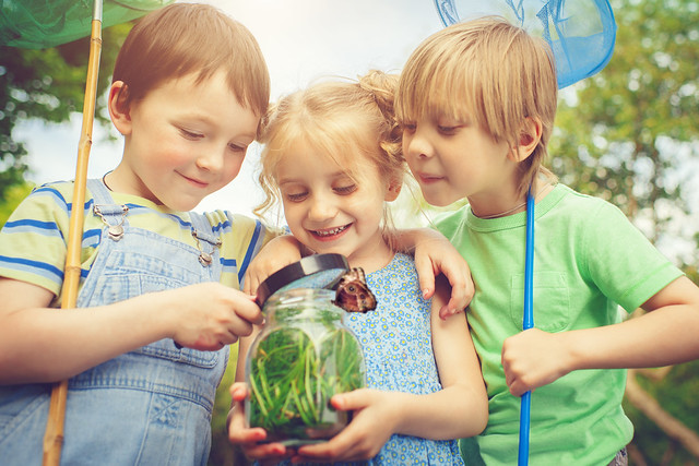London Parks discovery days