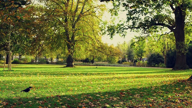 London Parks