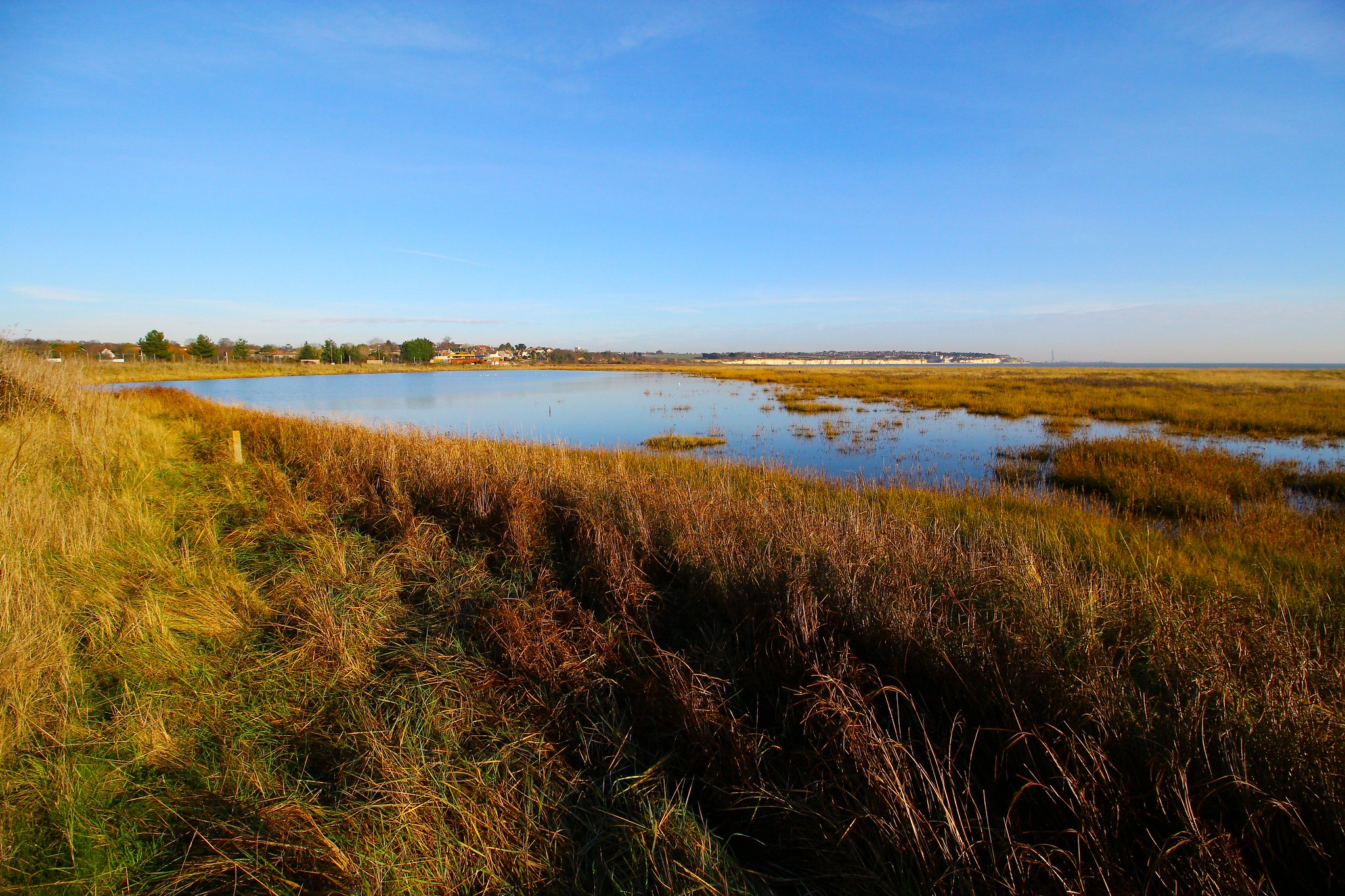 Top Country Parks In Kent Near Me