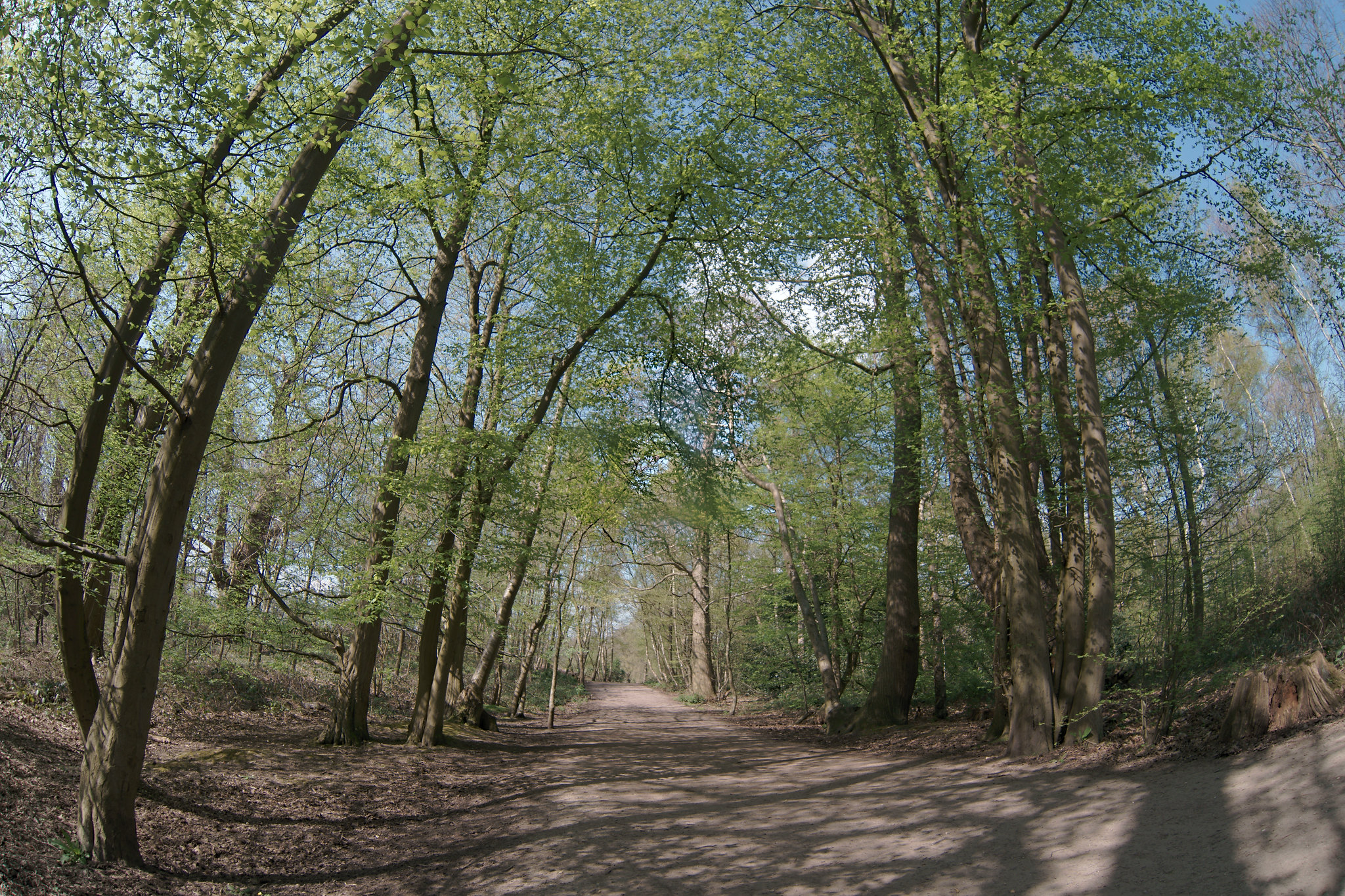 Top Country Parks In Kent Near Me