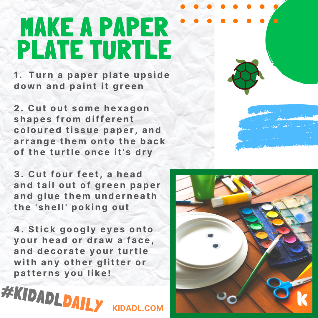 paper plate turtle